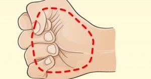 Santé: des techniques simples pour trouver la quantité idéale de nourriture dont votre corps a besoin