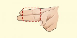 Santé: des techniques simples pour trouver la quantité idéale de nourriture dont votre corps a besoin