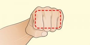 Santé: des techniques simples pour trouver la quantité idéale de nourriture dont votre corps a besoin