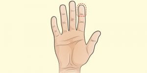 Santé: des techniques simples pour trouver la quantité idéale de nourriture dont votre corps a besoin