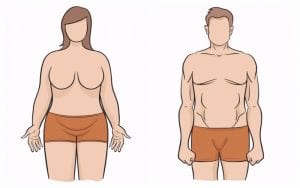 Votre morphologie détermine la vitesse à laquelle vous perdez du poids