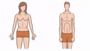 Votre morphologie détermine la vitesse à laquelle vous perdez du poids