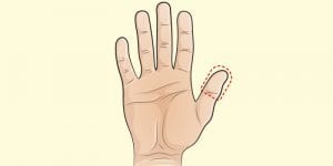 Santé: des techniques simples pour trouver la quantité idéale de nourriture dont votre corps a besoin