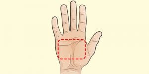 Santé: des techniques simples pour trouver la quantité idéale de nourriture dont votre corps a besoin