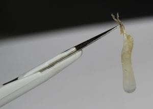 Santé : les sécrétions nasales sont bonnes pour notre corps (étude)