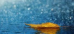 Découvrez 10 phobies complètement insolites