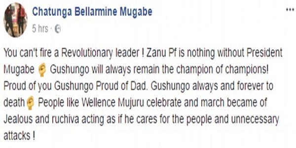 "Vous ne pouvez pas virer mon père", lance le fils de Robert Mugabe