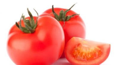 cropped-Tomates.jpg