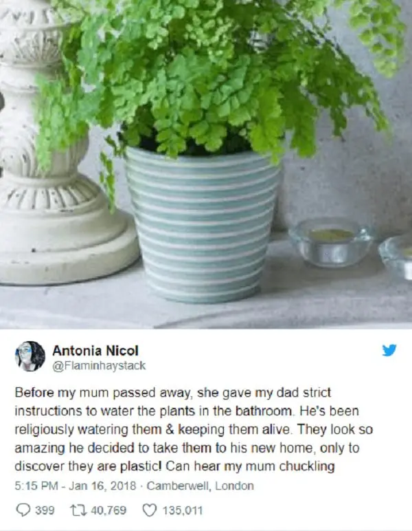 Divers: Décédée en 2014, voici la belle blague de cette femme à son mari...