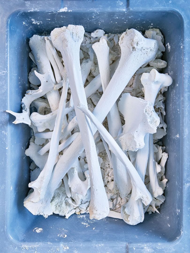 Dans le futur, un cadavre ne sera pas enterré ... il sera dissout, selon un scientifique américain