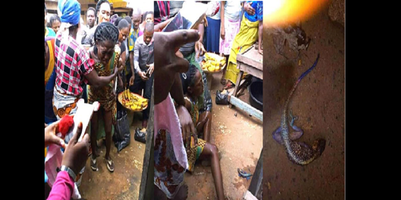 Nigeria-insolite: Une femme donne naissance à un lézard (photos)