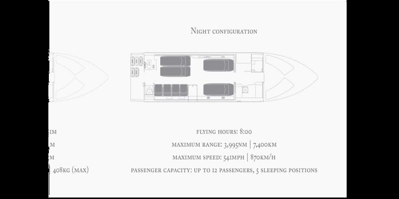 People: 8 choses importantes à savoir sur le jet privé de Davido (photos)