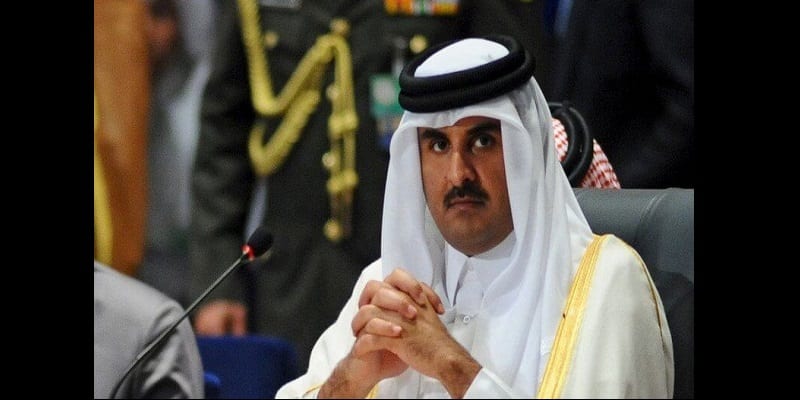 Cheikh Tamim Bin Hamad Al Thani - Découvrez 10 familles royales plus riches que la famille royale britannique (photos)