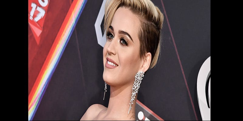 Katy Perry publie un sexto par erreur destiné à Orlando Bloom grande - People: Top 15 des célébrités interdites de séjour dans certains pays (photos)