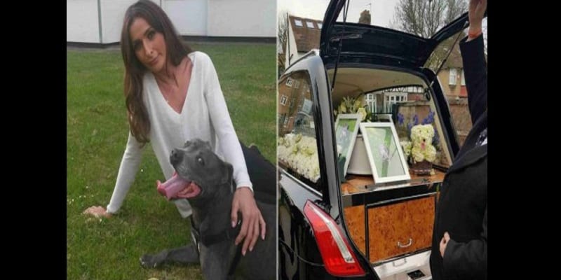 Woman-spends-N1.8million-on-her-dogs-funeral-lailasnews-5-600×300