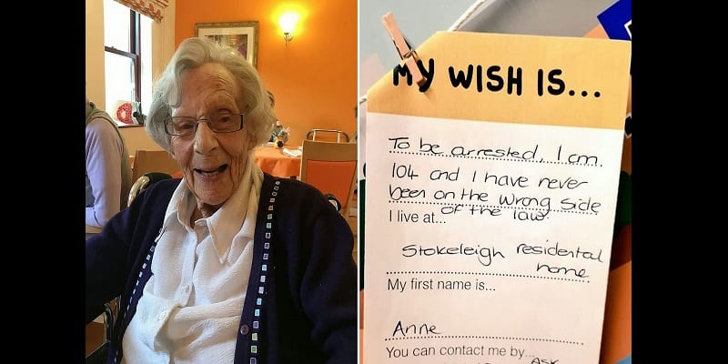 11028108-0-image-a-26_1552646608045