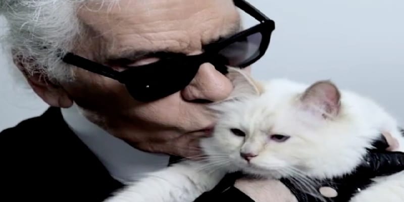 Karl et sa chatte