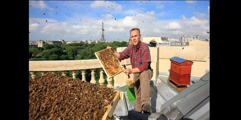 11031006-16×9-xlarge