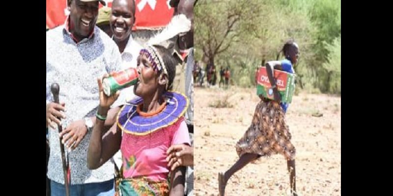 untitled_design_46_1