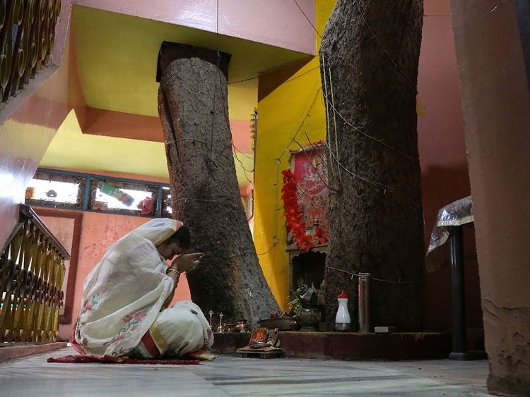 Inde : ils construisent leur maison autour d’un arbre (photos)