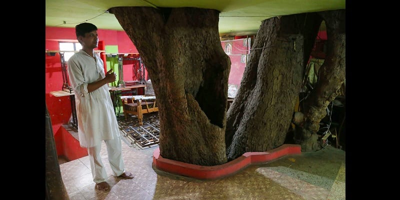 Inde-ils-construisent-leur-maison-autour-d-un-arbre-pensant-qu-un-dieu-y-reside (1)