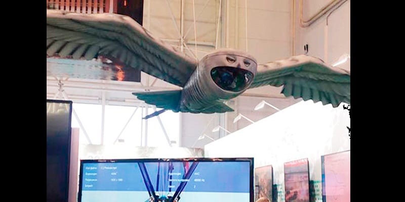 NINTCHDBPICT000500515087-1