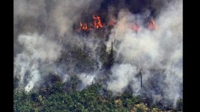 _108482979_055992919