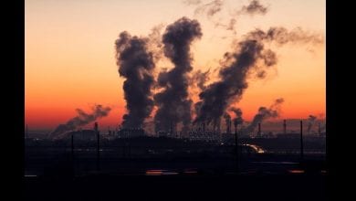 air-pollution-killer-1140×815