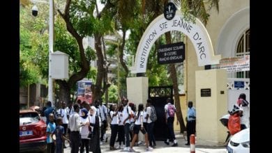 15676303063891-780×440