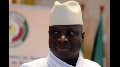 _96164544_f020f3f3-18f4-47c7-8a39-dcd351075b17