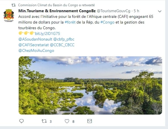 Bassin du Congo : 60 millions de dollars pour la forêt du Congo et la gestion des tourbières