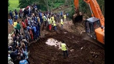 2f8dc61d-6f16-4920-9a83-c731efb3d0b1