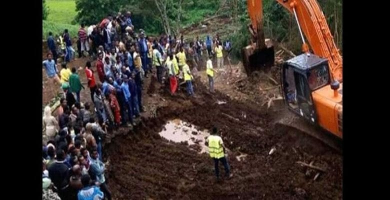 2f8dc61d-6f16-4920-9a83-c731efb3d0b1