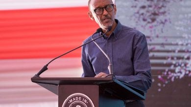 72681806_10156162118547282_6084787718519259136_o