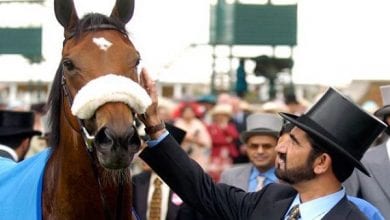 sheikh-mohammed-bin-rashid-al-maktoum-horse
