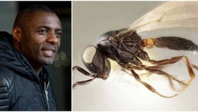 78299460_2598803963489986_9181045048253349888_n