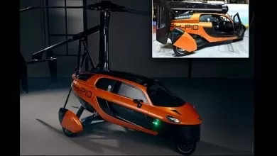 21776118-0-image-a-24_1575405520721