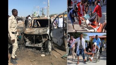 22732856-0-image-a-19_1577519760837