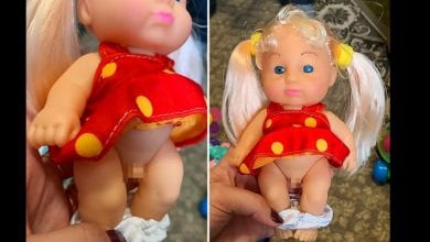 World’s-first-transgender-children’s-doll-with-penis-spotted-on-sale-in-toy-store-990×660