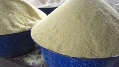 gari-500×360-720×360