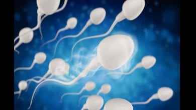 male-fertility-cannabis