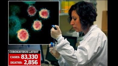 25306852-0-image-a-61_1582874644141