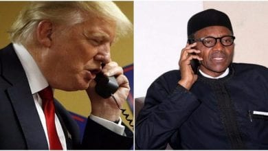 buhari-trump-1024×576