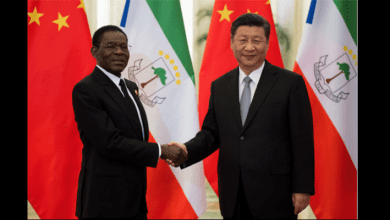 d03f6ca39c48c6ff68528da0a5dd13af