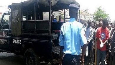 26157284-8129791-image-a-1_1584618092433