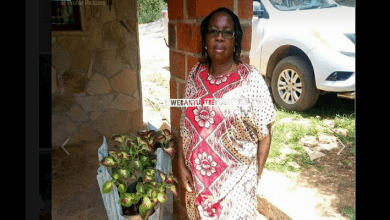 90342998_931040467328925_6850321864724578304_n