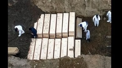 New-york-Mass-Burial-Site