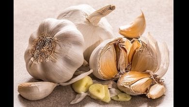 bienfaits-manger-ail