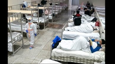 pays n'ayant aucun cas de covid-19