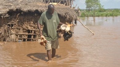 inondation-kenya-novembre-decembre-2019